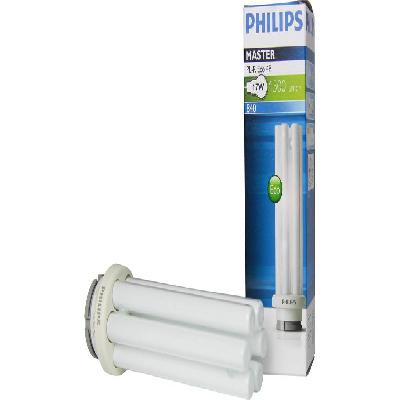 Fluorescent Lamps 