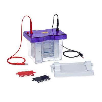 Vertical Electrophoresis System