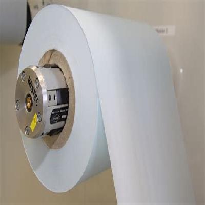 Filter Membranes
