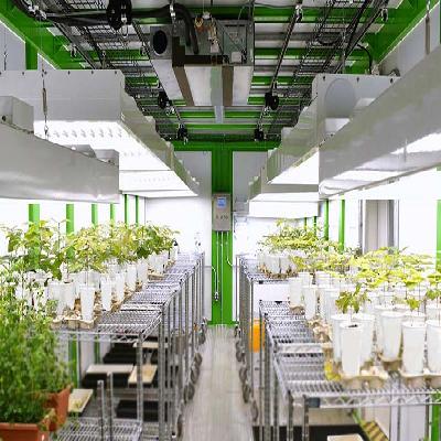 Plant Growth Chamber