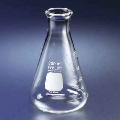 Erlenmeyer Flask
