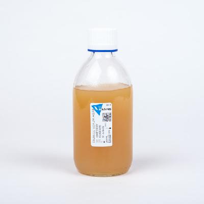 Himedia Orange Serum Agar