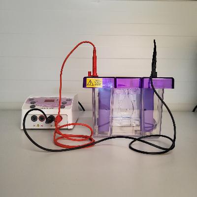 Electrophoresis Unit
