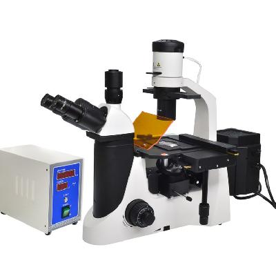 Fluorescence Microscope