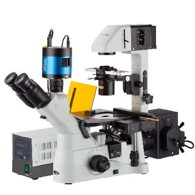 Inverted Fluorescence Microscope