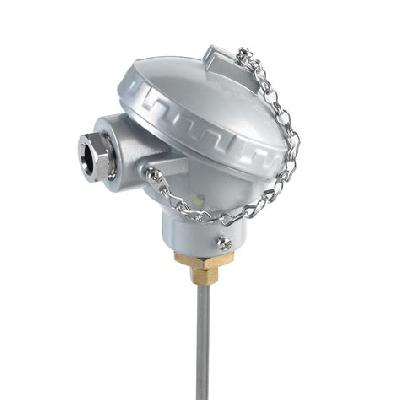 Mineral Insulated Thermocouple