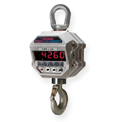 Standard Crane Scales