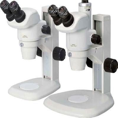 Stereo Microscope