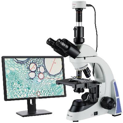 Trinocular Microscope