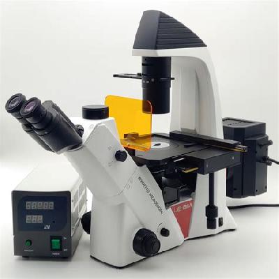 Florescent Microscope