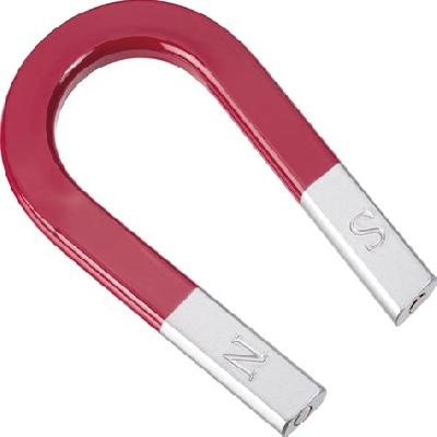 Horse Shoe Magnets