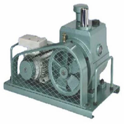 Belt Driven High Vacuum Pump 50 To 600LPM