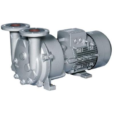 Monoblock Water Ring Vacuum Pump