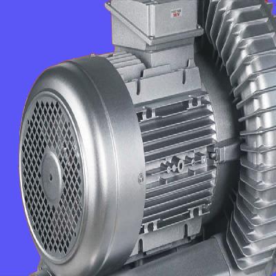 1 HP Ring Turbine Blower