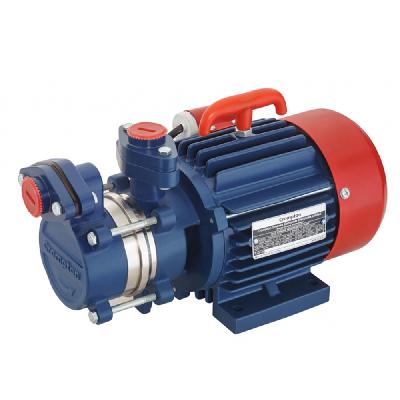 Crompton Motor Vacuum Pump