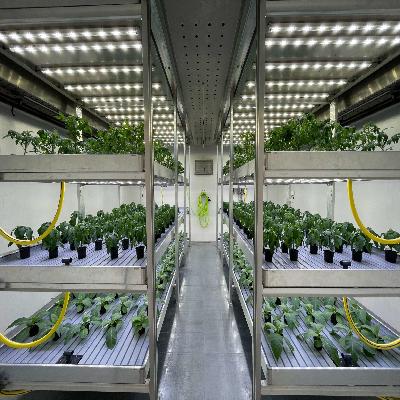 Plant Growth Chamber