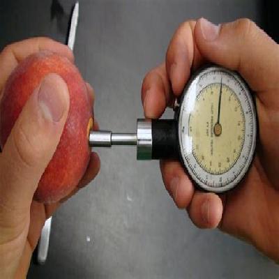 FRUIT PRESSURE FIRMNESS TESTER