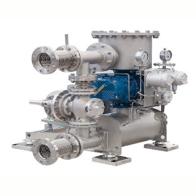 Biogas Blower