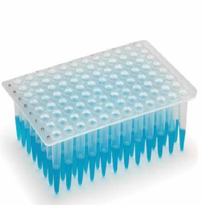 PCR Plate Semi Skimmed Pp