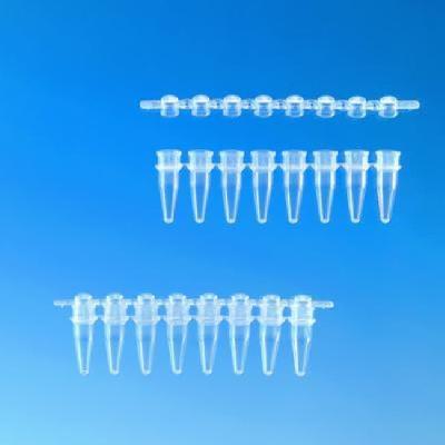 Pcr Tube Strip
