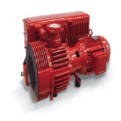 Electric Rotary Vacuum Pump