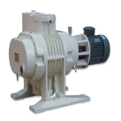 Roots Vacuum Pump