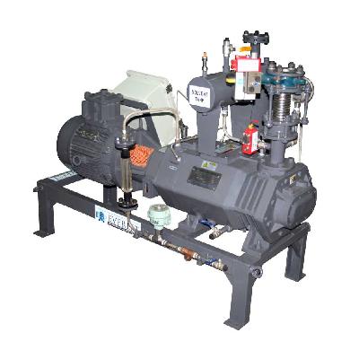 Dry screw vacuum pumps service