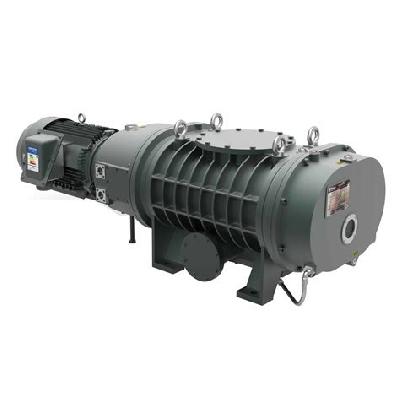 Roots Vacuum Pump