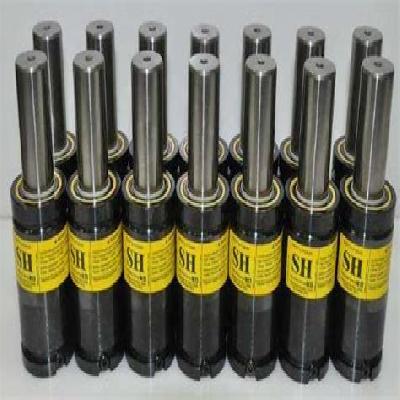 Mold Gas Spring