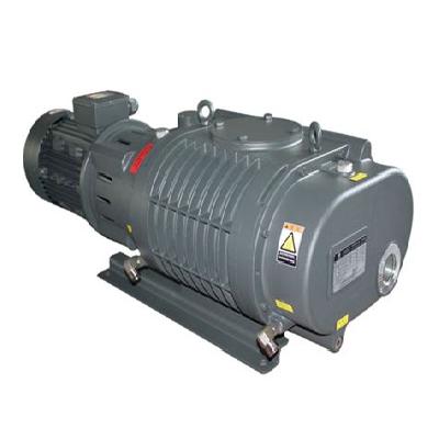 Roots Vacuum Pump