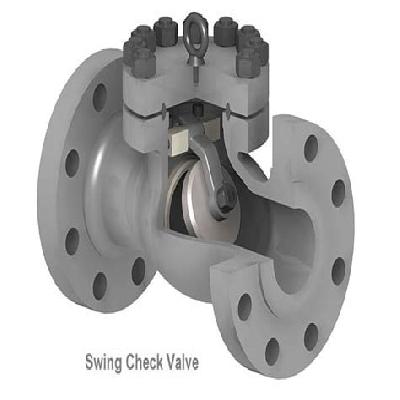 BHEL Swing Check Valve