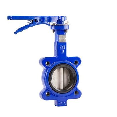 Cast Iron Butterfly Valve