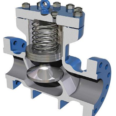 Check Valve NRV