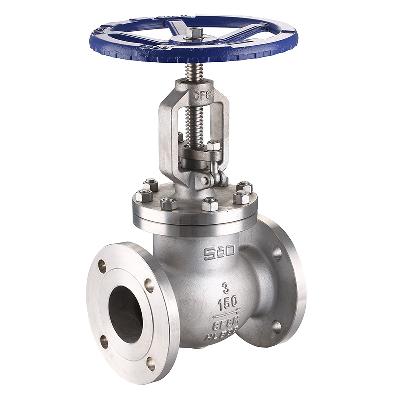 Industrial Globe Valve