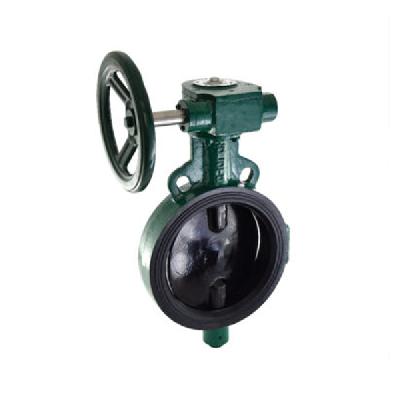 Intervalve Butterfly Valve