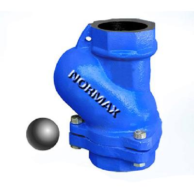 Normex Foot Valve (Threaded)