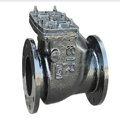 Reflux Valve With GM Flap