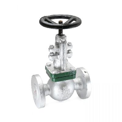 Sant Cast Iron Globe Valve