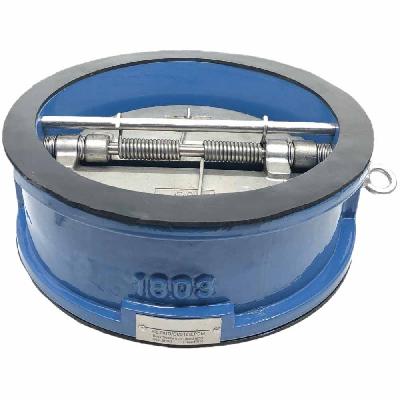 SS Disc Check Valve