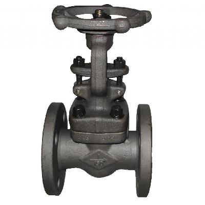Swing Check Valve