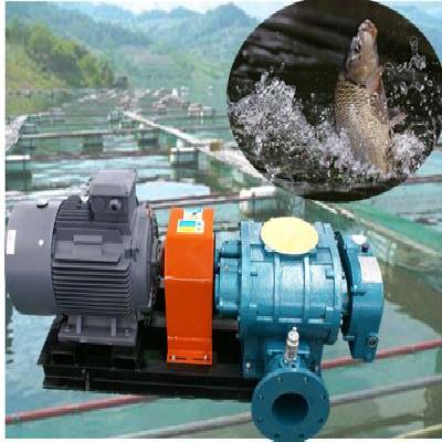 Roots Blower For Shrimp Farming