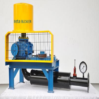 Twin Lobe STP Blower