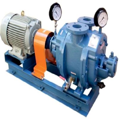Everest EVWS-50ll 75 M3 Hr.Two Stage Watering Vacuum Pump