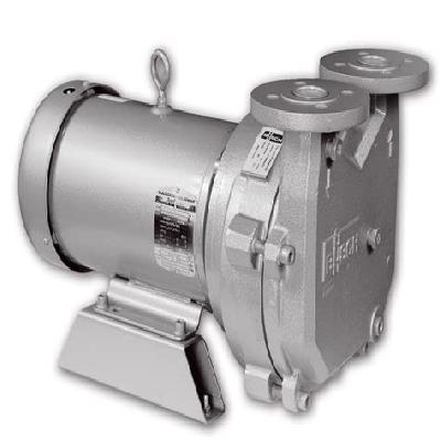 Liquid Ring Vacuum Pumping Systems