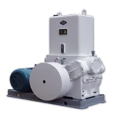 Rotary Piston Vacuum Pumps