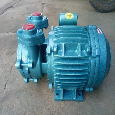 10 HP Kirloskar Self-Priming Pump