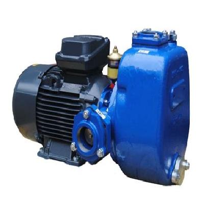 High Head Self Priming Pump