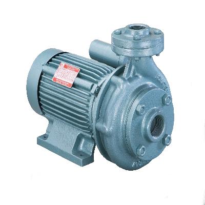 Single Phase Monoblock Pump