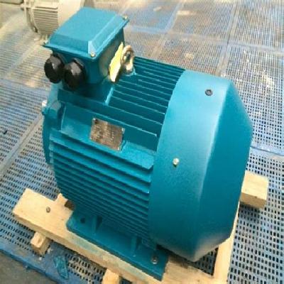 Three Phase AC Cage Motor
