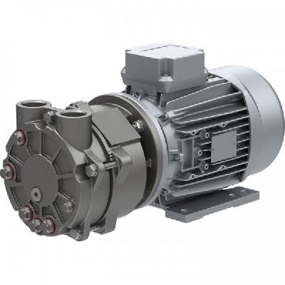 Monoblock Water Ring Vacuum Pump